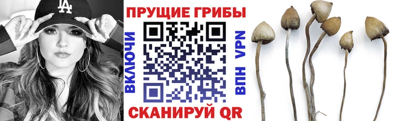 Галлюциногенные грибы MAGIC MUSHROOMS  нарко площадка официальный сайт  Дмитриев  наркотики 